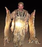 Nice West Texas bobcat double...look at those spots!