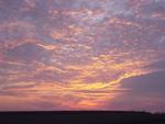 Sunrise on calling morning.